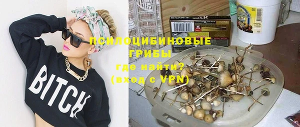дживик Богородск