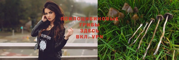 mdma Богородицк