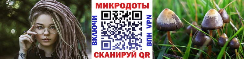 Галлюциногенные грибы Psilocybine cubensis  mega сайт  Котовск  даркнет сайт 